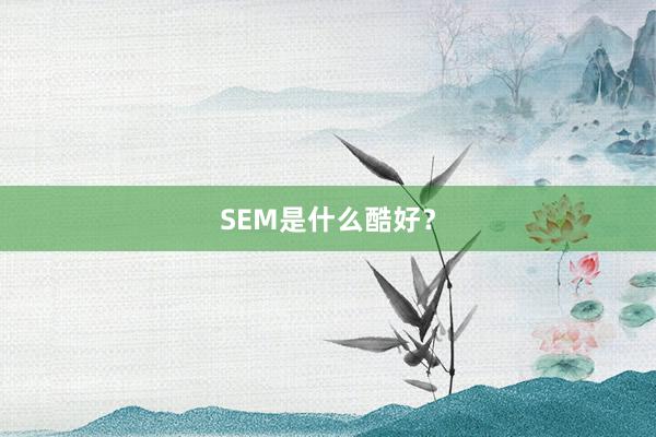 SEM是什么酷好？