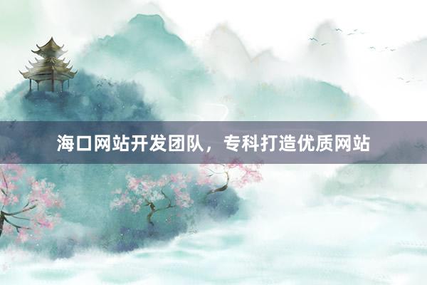 海口网站开发团队，专科打造优质网站